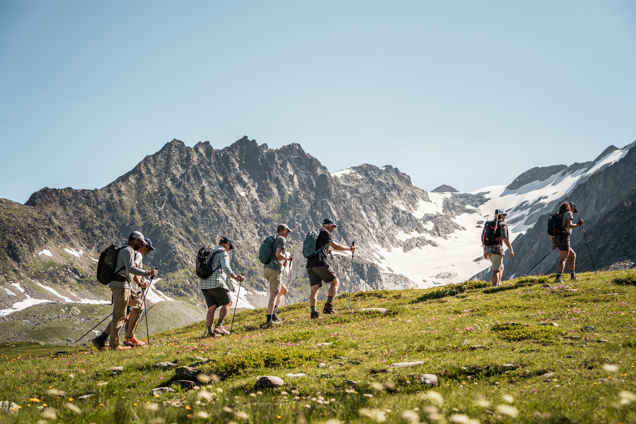A group hiking across a green field with snowy mountains in the distance.