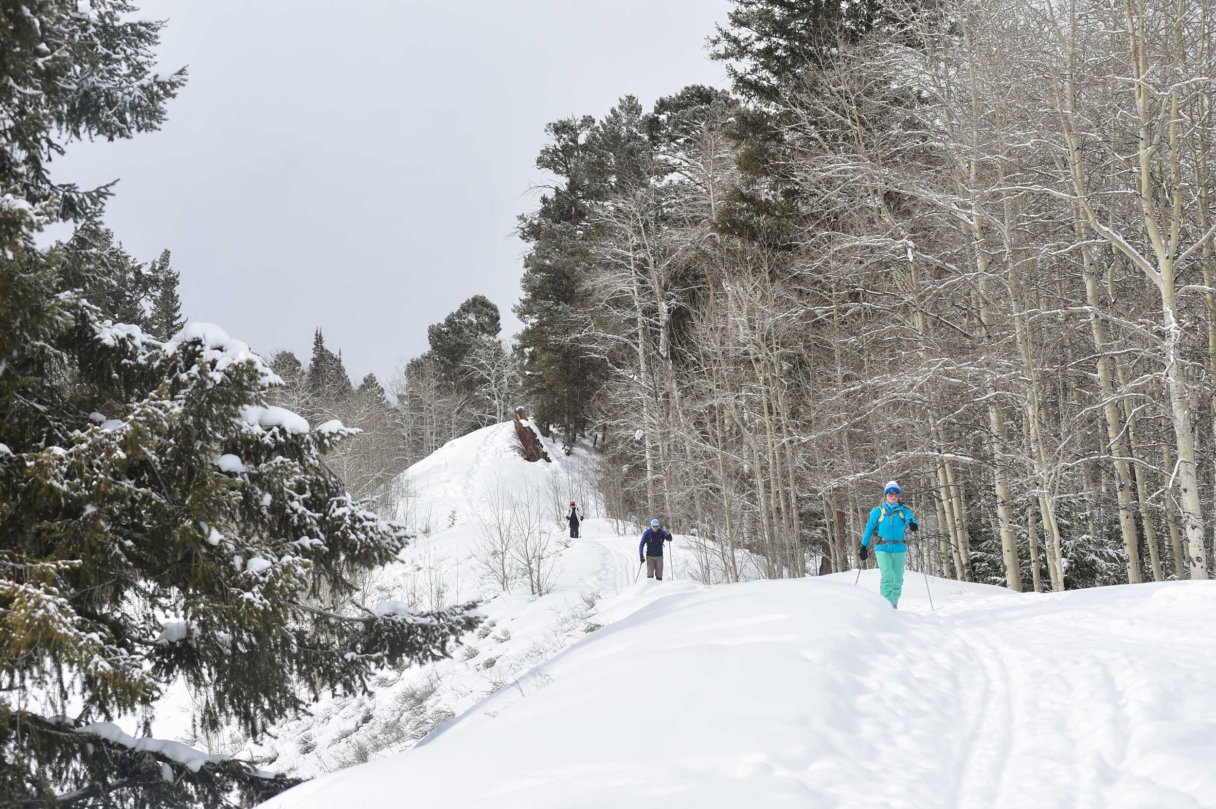 Cross-country skiers in Colorado.