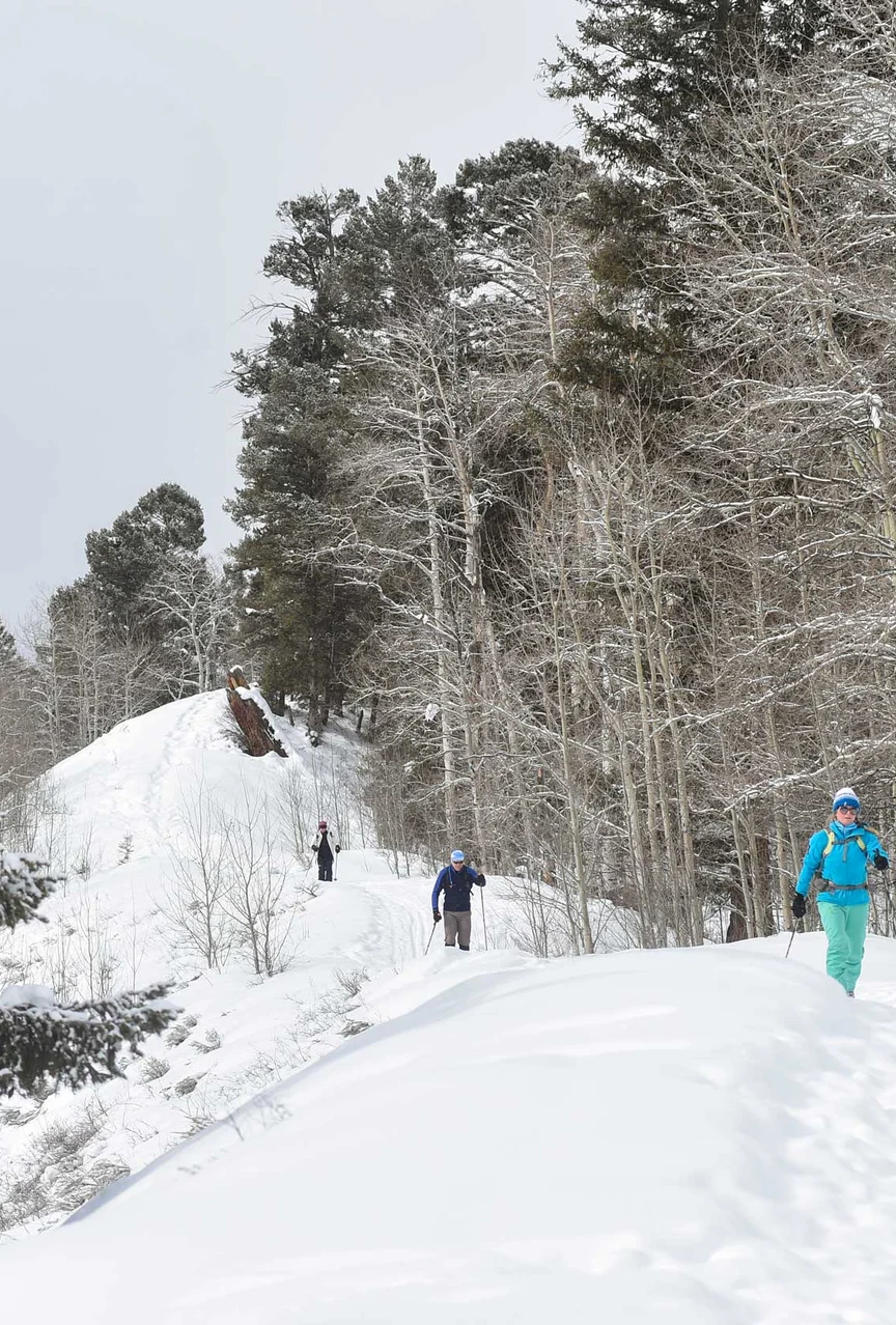 Cross-country skiers in Colorado.