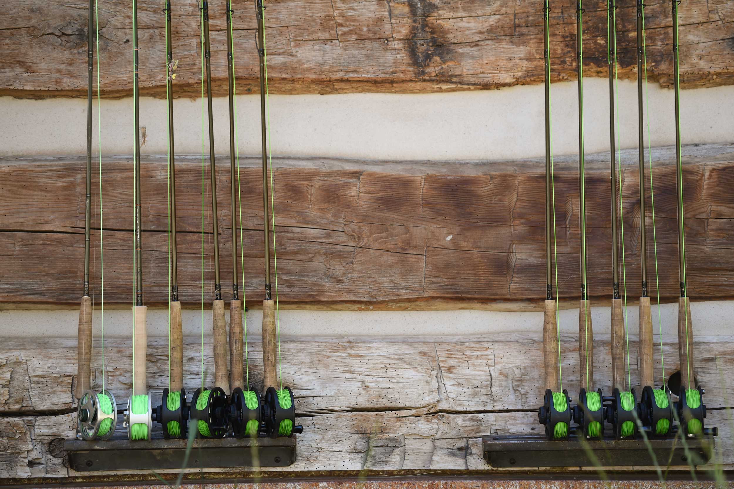 Introduction to the Gear