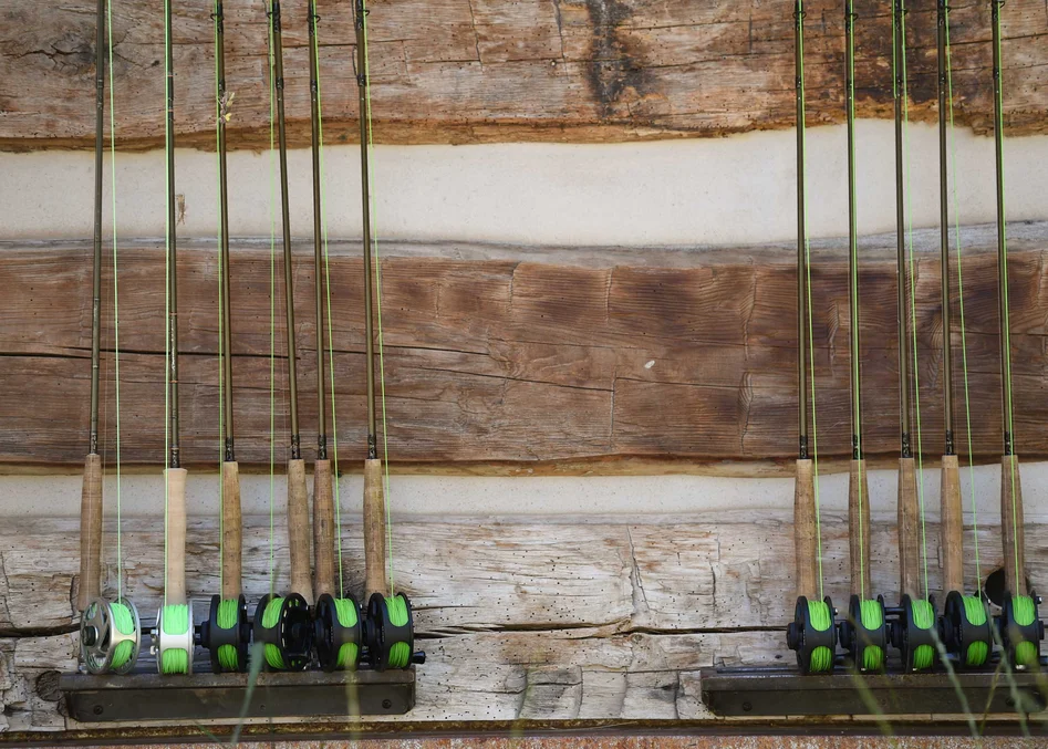 Introduction to the Gear