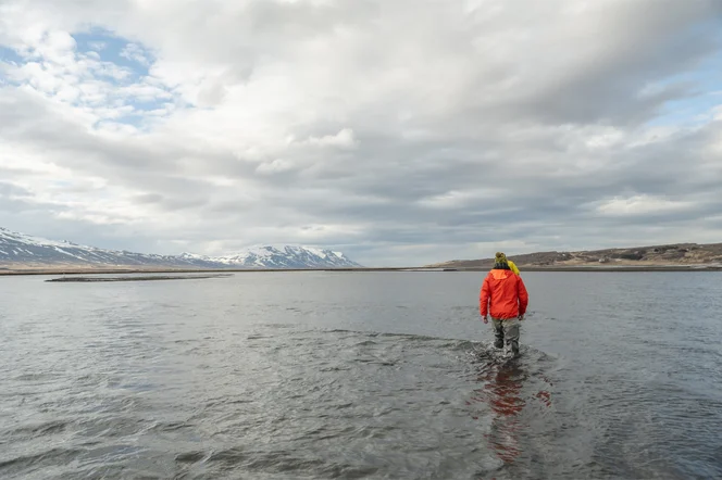 A man walking through knee deep water in a lake in Iceland.