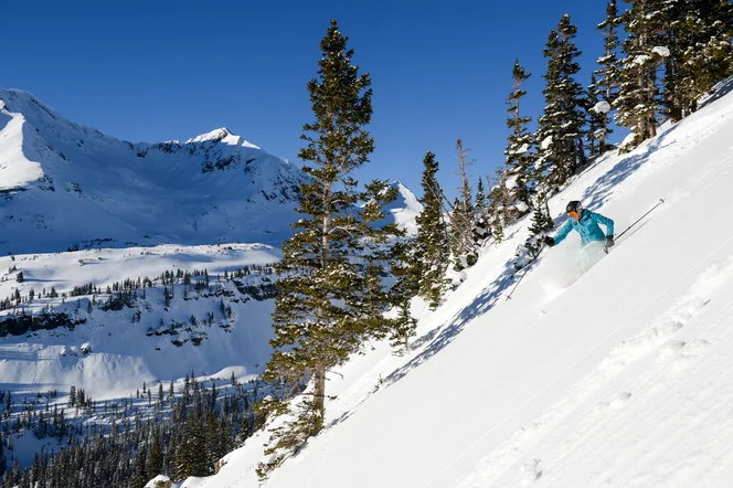 A skier headed down a steep slope on a moderately wooded mountain.