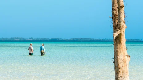 Ferry to the mainland and transfer to Current