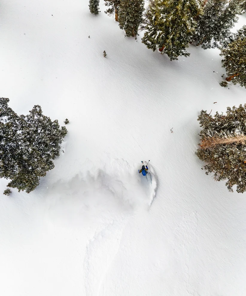 An birds-eye view of skiing off-piste.