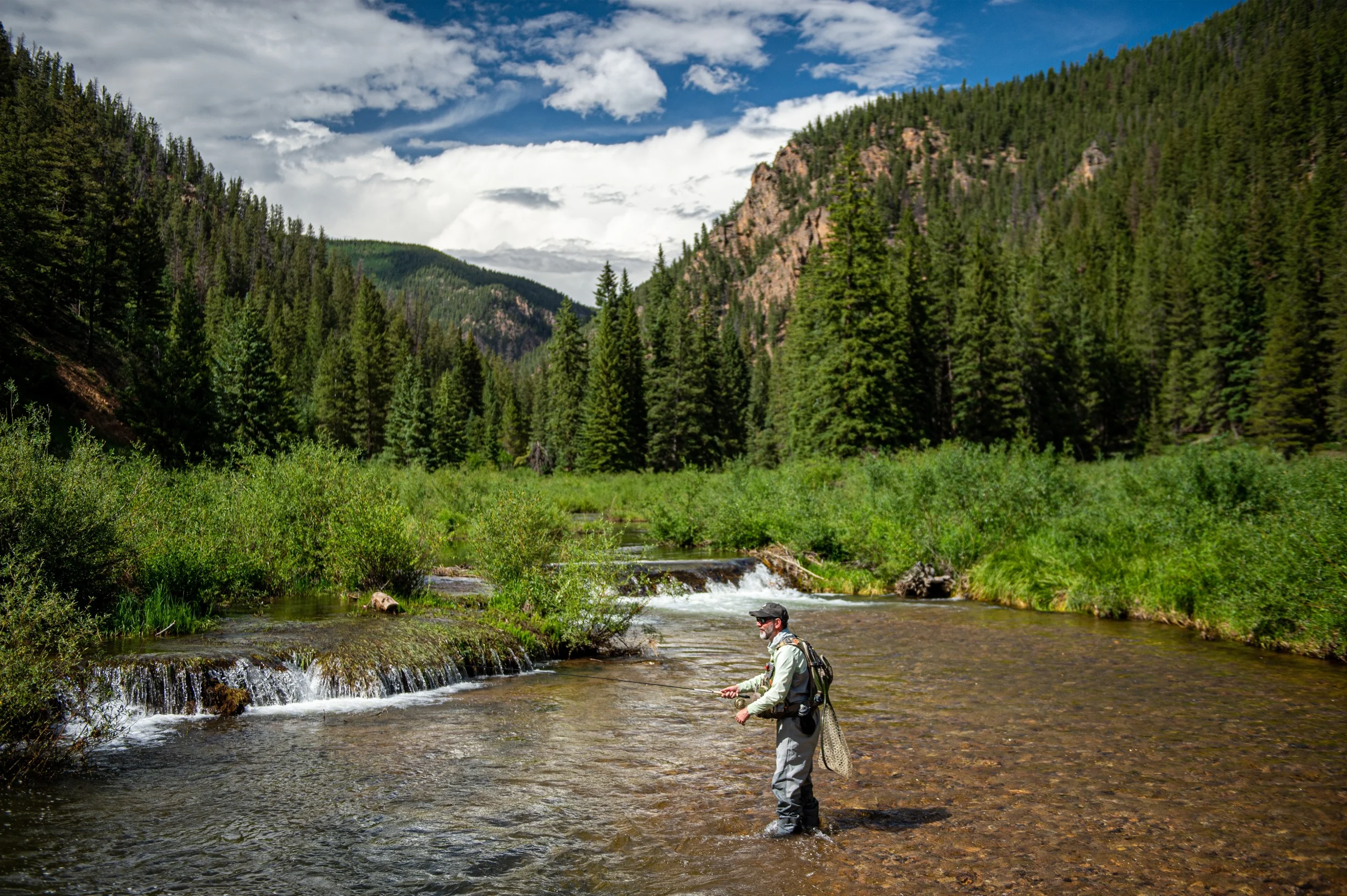 A fisherman in a creek surrounded by mountainous tall forests.