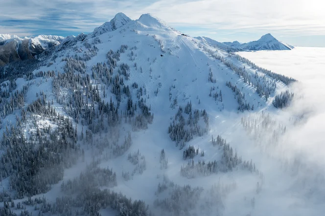 Ski lines at Revelstoke Mountain Resort.