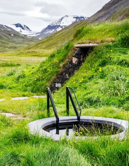 Cold Plunge and Sauna at Deplar Farm