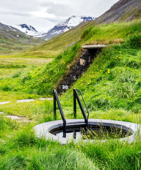 Cold Plunge and Sauna at Deplar Farm