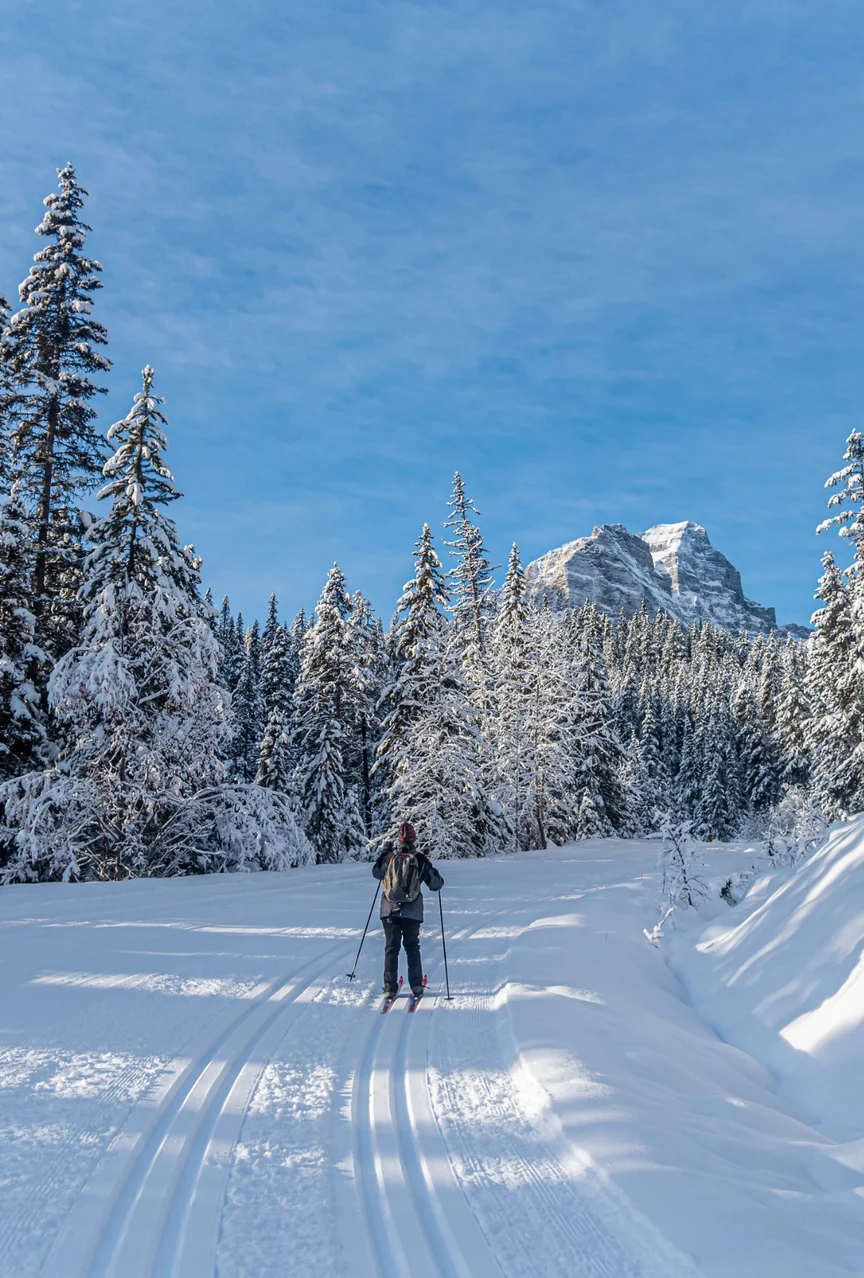Cross-country skiing in British Columbia.