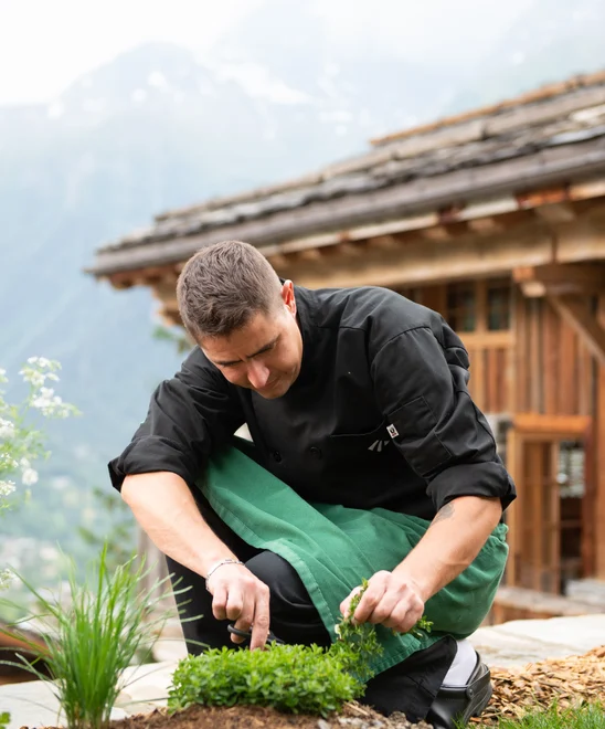 A chef picking local herbs outside of a house in the valley.