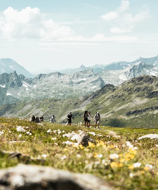 A group of people hiking the Alps during the summer.