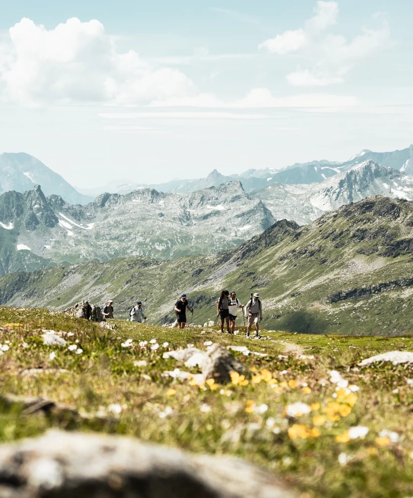 A group of people hiking the Alps during the summer.