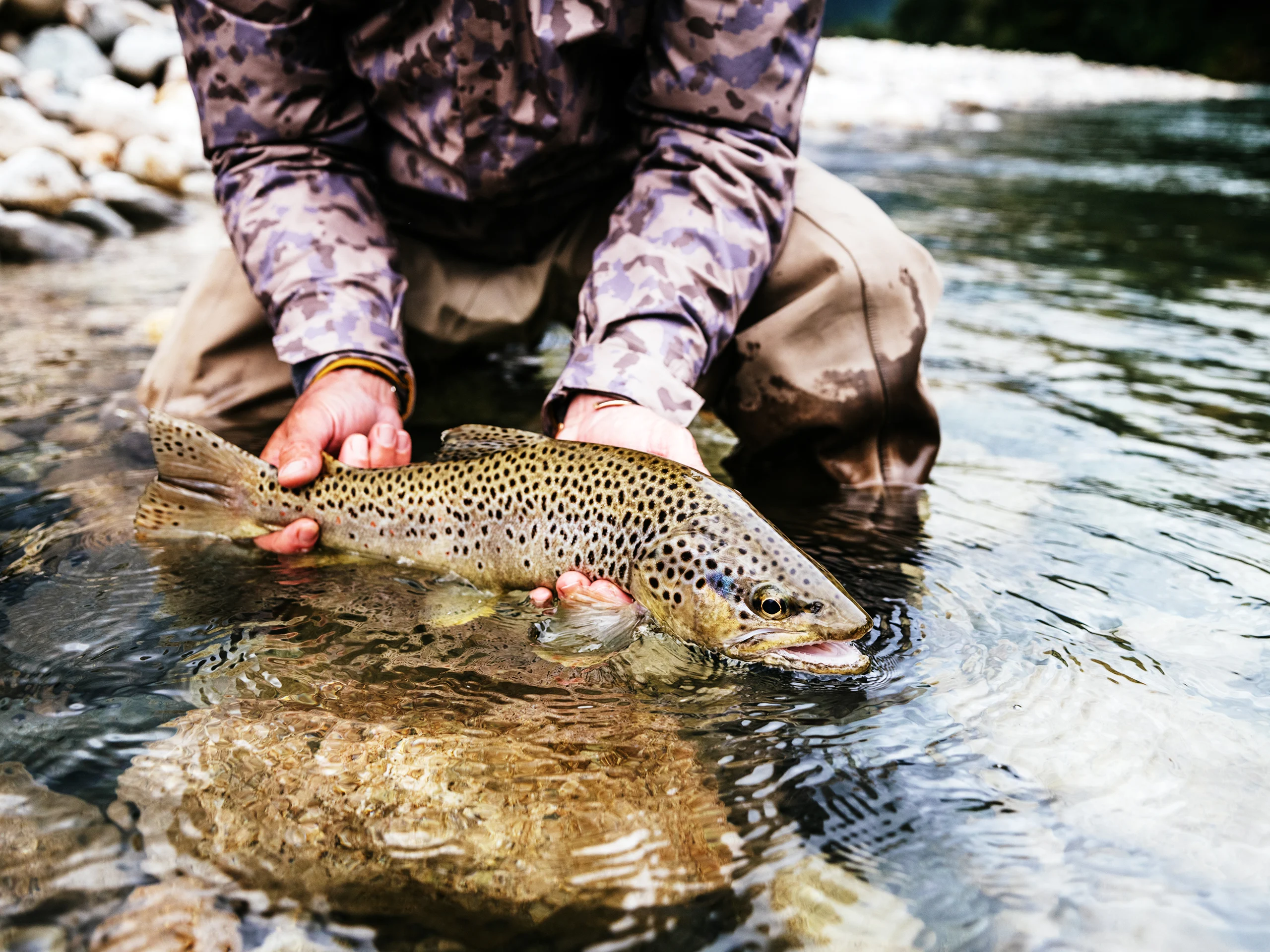 Man holding fish in river