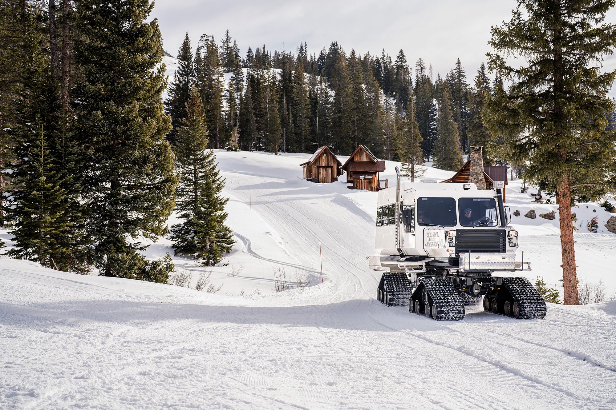 Eleven snow cat in Colorado