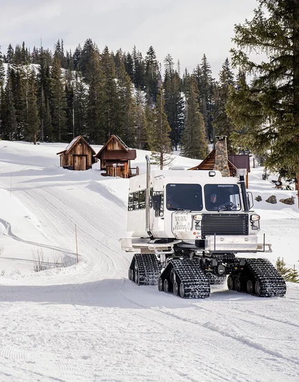 Eleven snow cat in Colorado