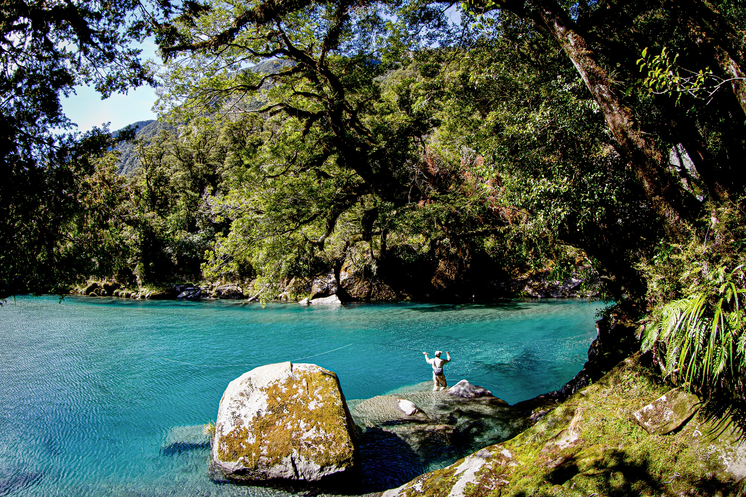 Man Fishing New Zealand