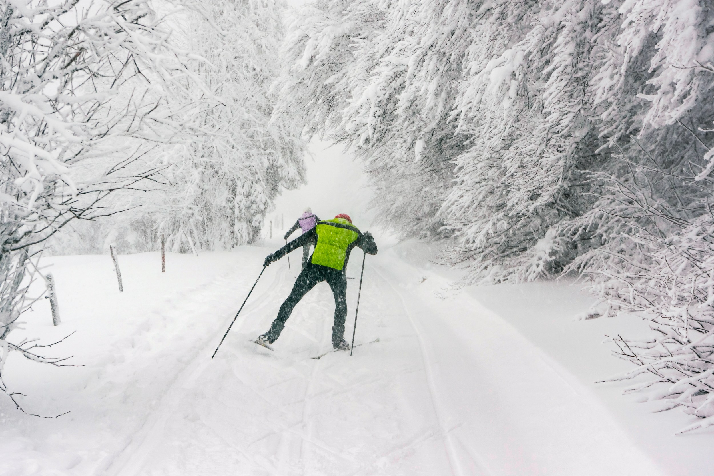 Nordic Skiing in France.