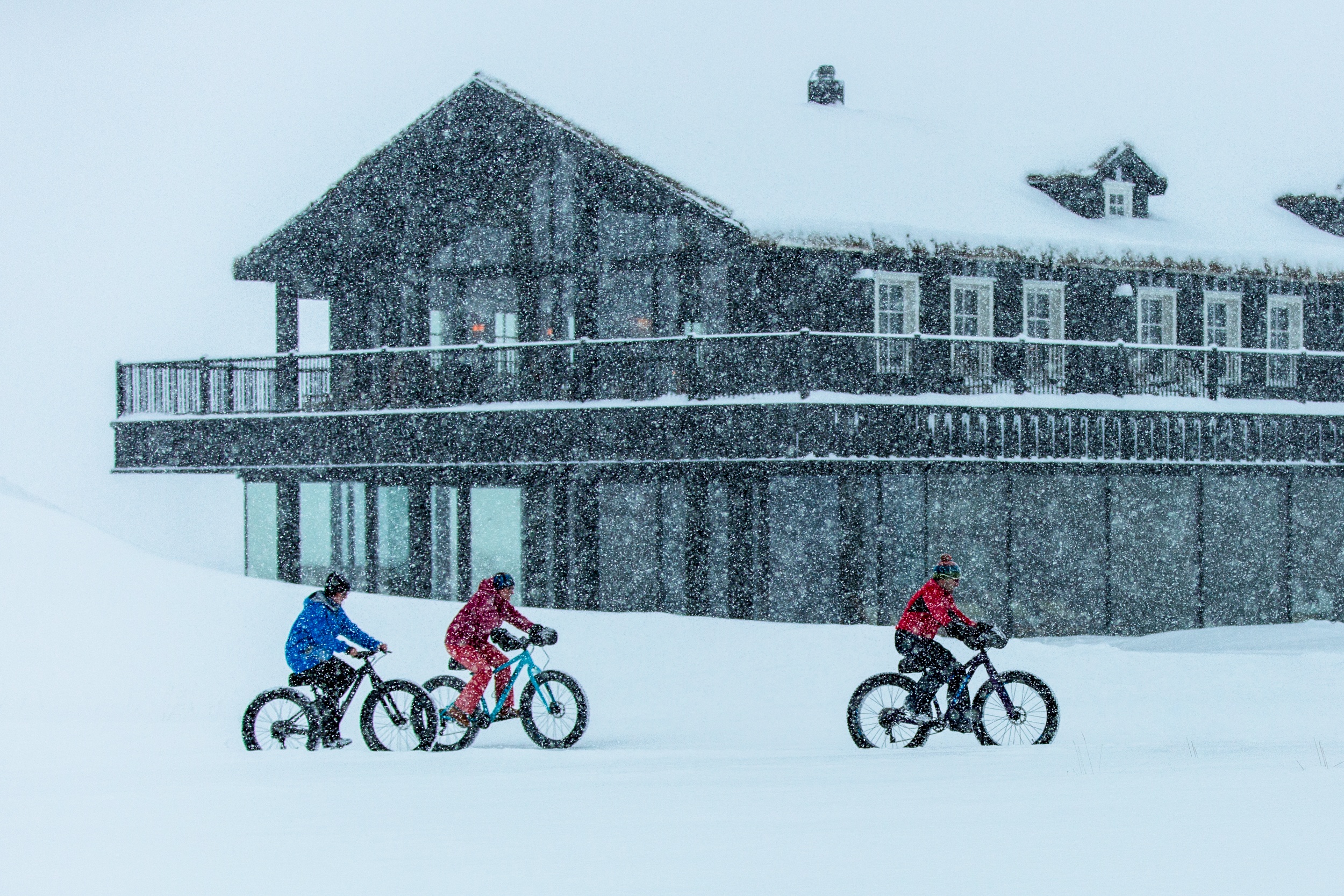Fat biking in Iceland.
