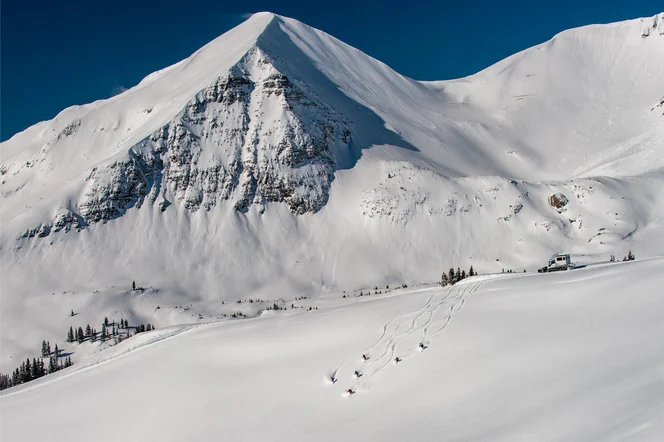 A group of skiers skiing downhill from a cat on a mountain in Colorado.