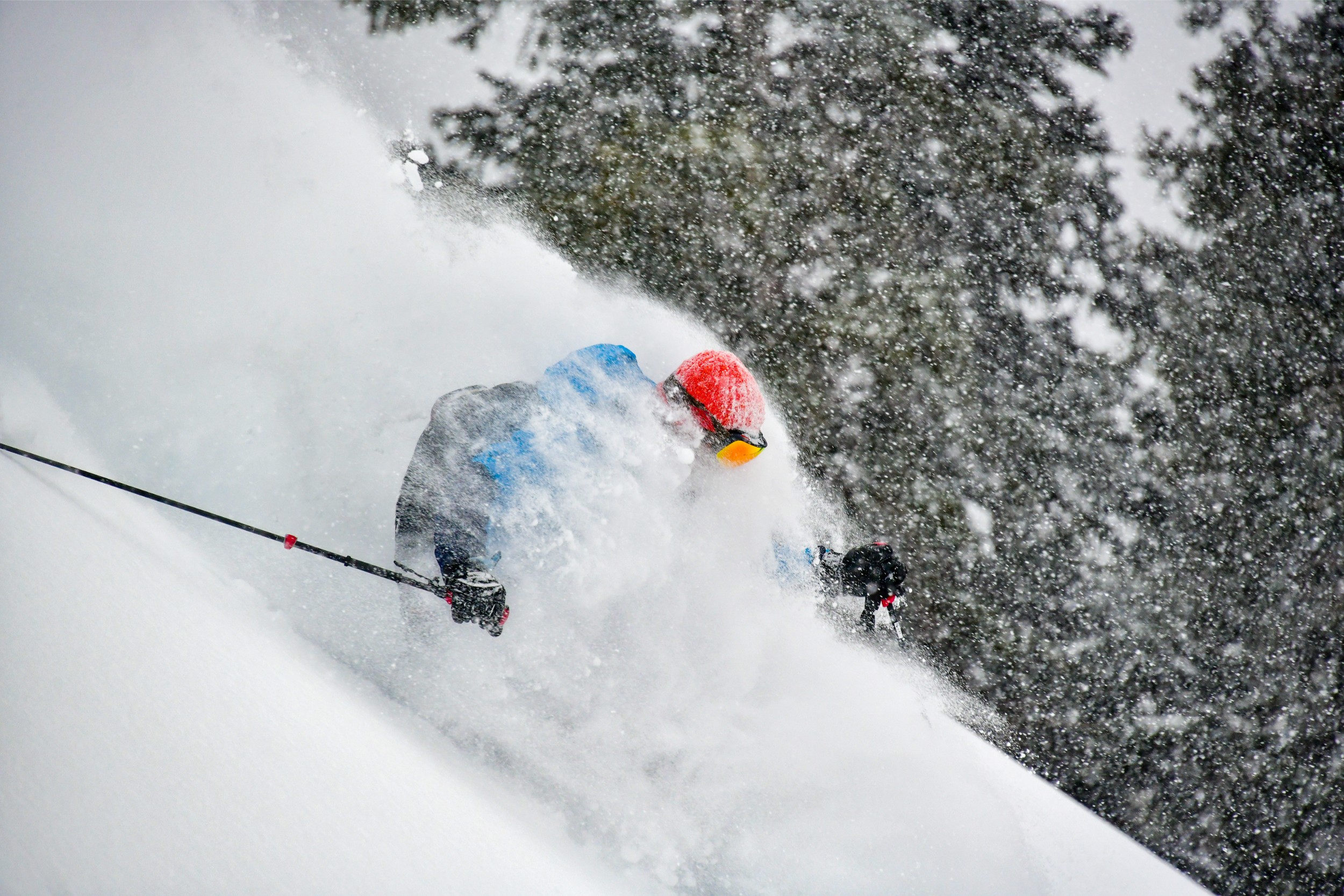 Male skier surrounded by powder snow while skiing.